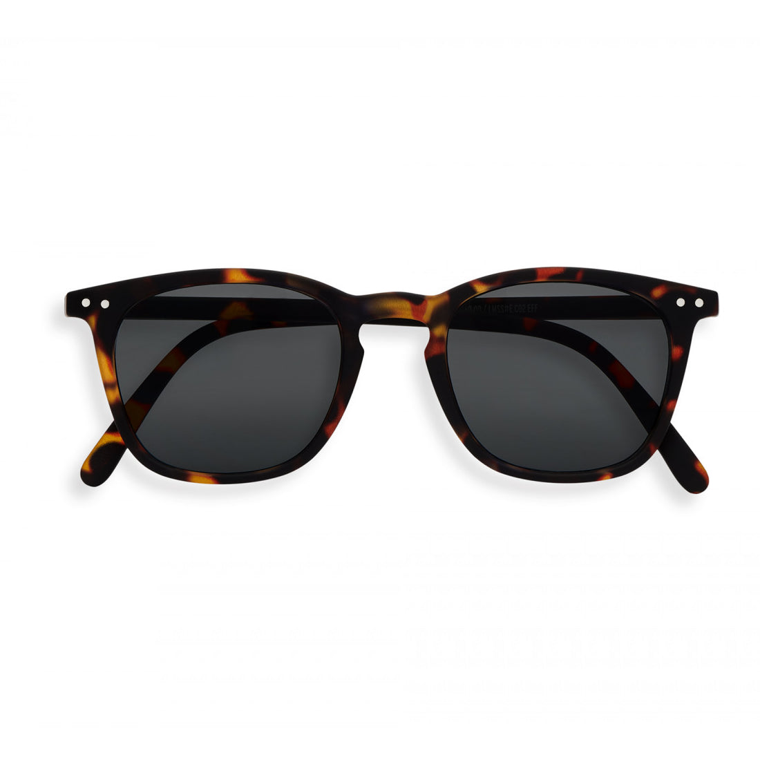 #E READING - SUN Tortoise