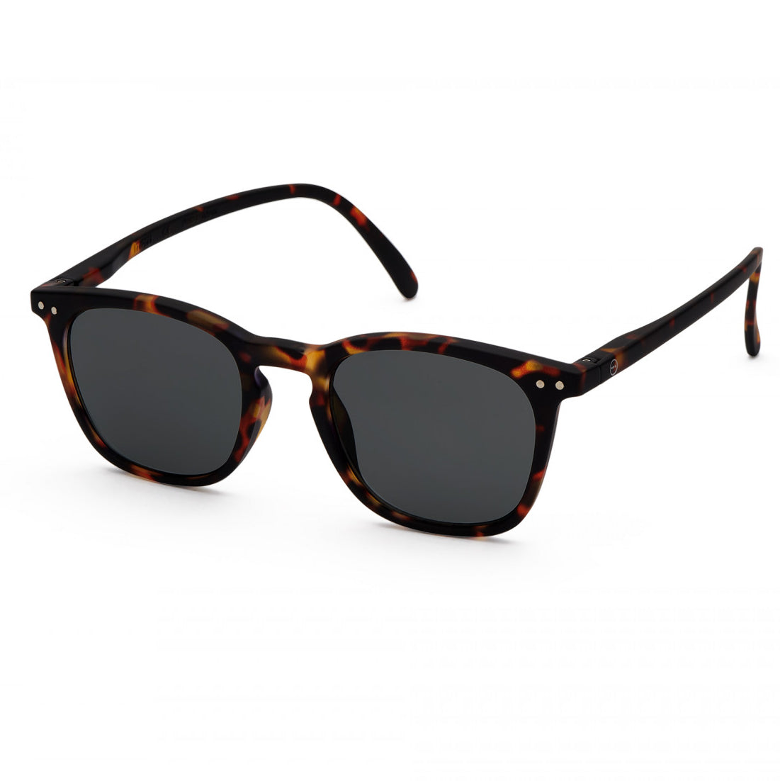 #E READING - SUN Tortoise