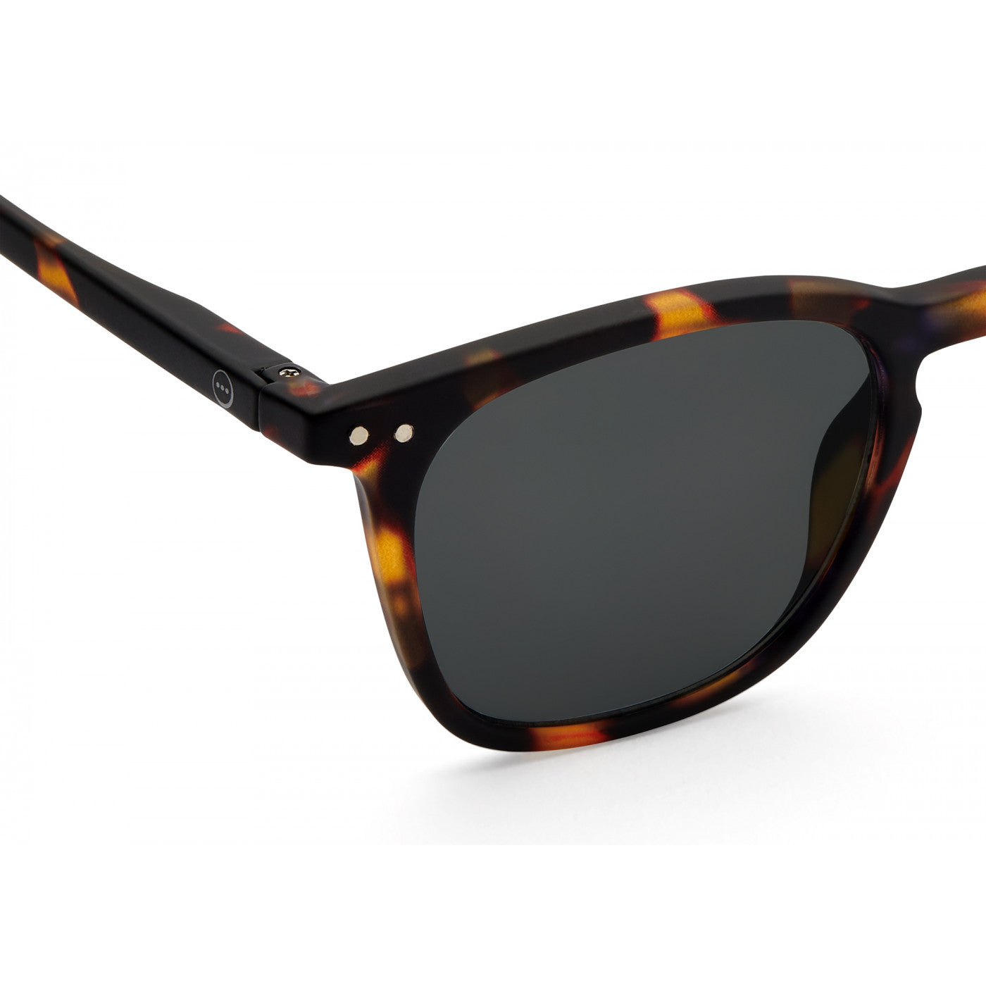 #E READING - SUN Tortoise