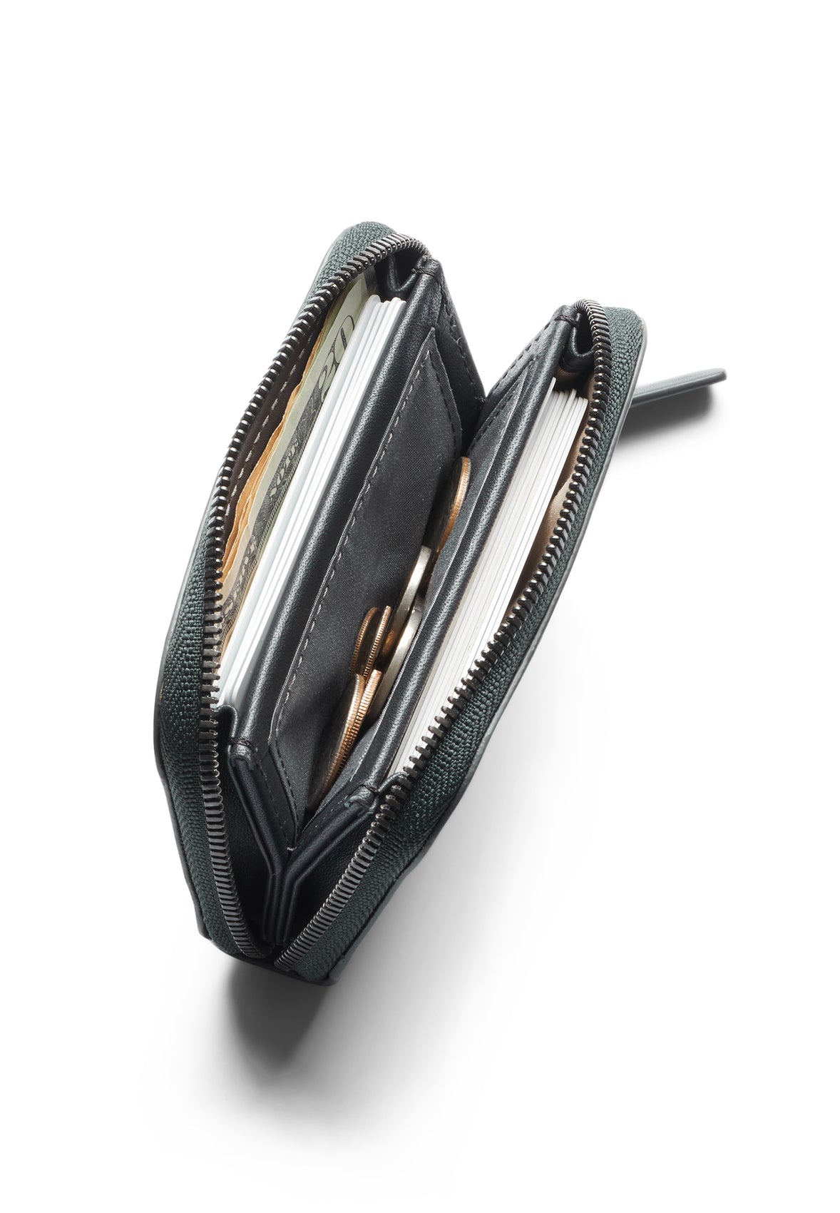 Folio Mini - Everglades